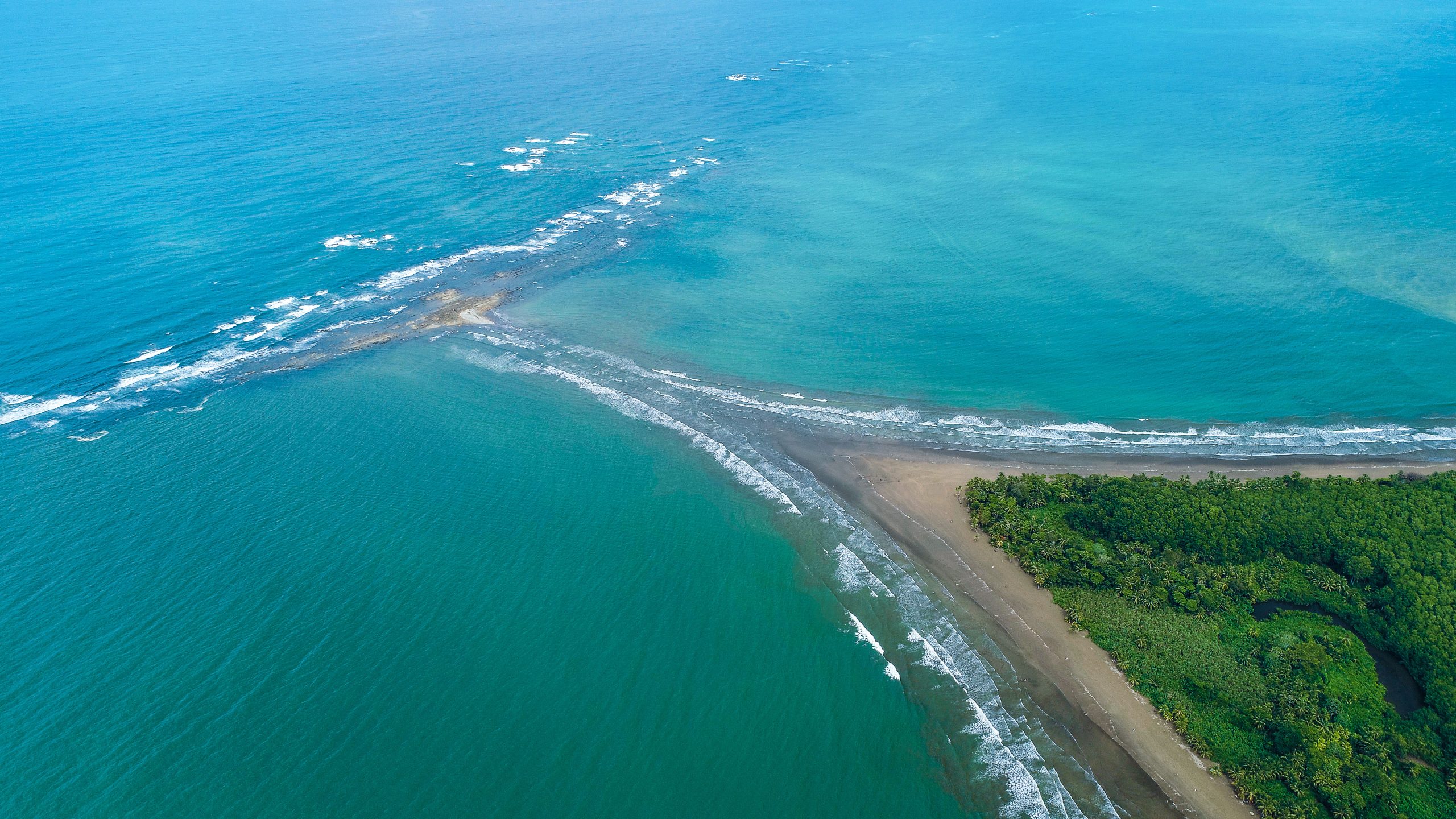 Costa Rica : guide complet pour un voyage nature entre volcans, jungle et océan Pacifique